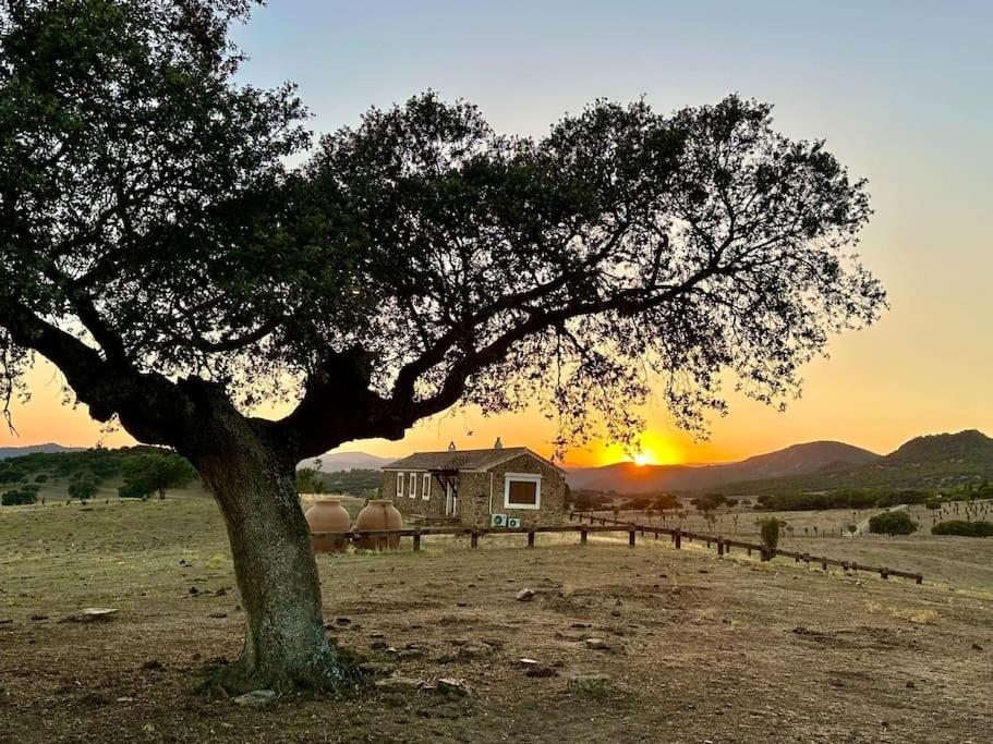 Finca La Alcolehuela En Parque Natural De Despenaperros ซานตา เอเลนา ภายนอก รูปภาพ