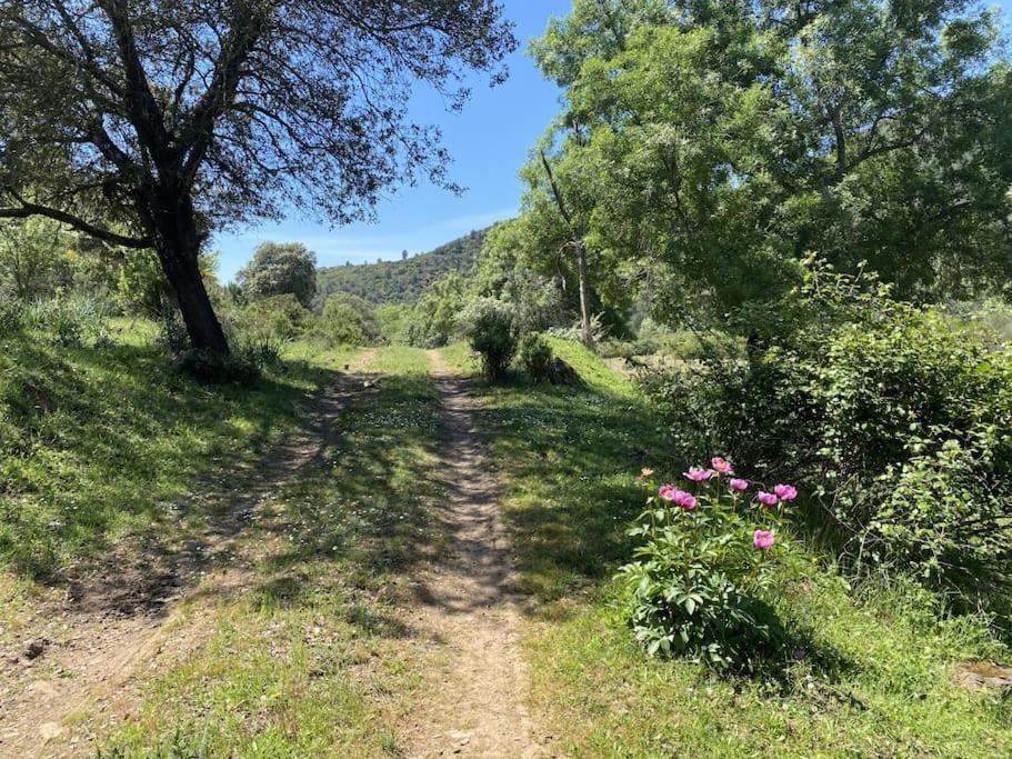 Finca La Alcolehuela En Parque Natural De Despenaperros ซานตา เอเลนา ภายนอก รูปภาพ
