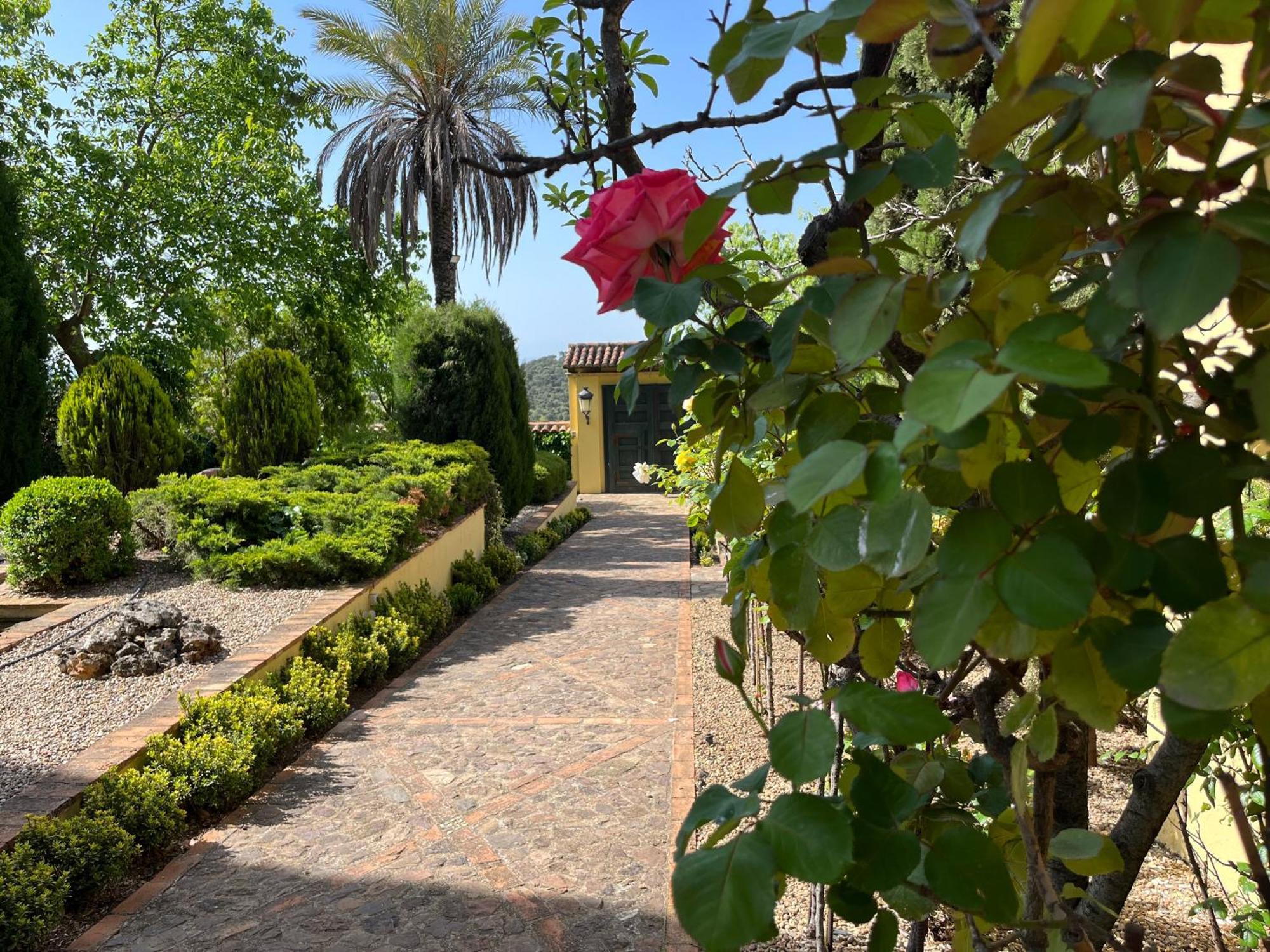 Finca La Alcolehuela En Parque Natural De Despenaperros ซานตา เอเลนา ภายนอก รูปภาพ